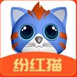 纷红猫APP官方正版邀请码下载 v1.0