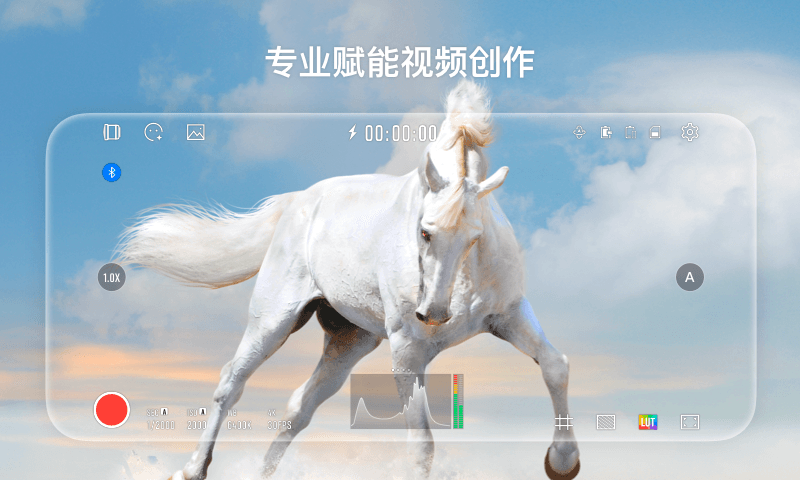 StaCam_图片1