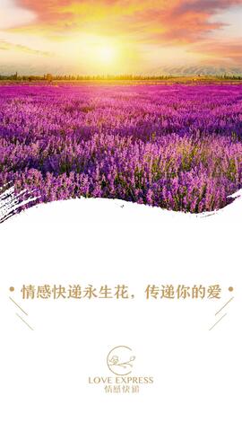 永生花官网版