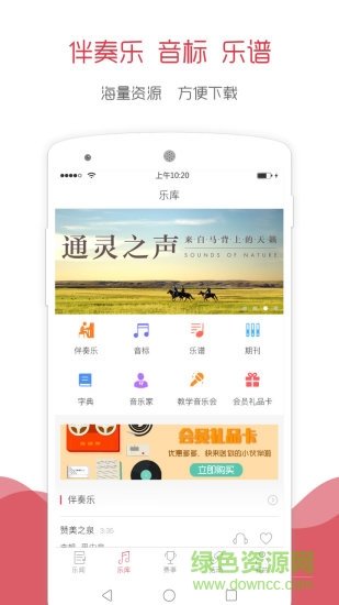 音乐无界