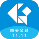 国美金融