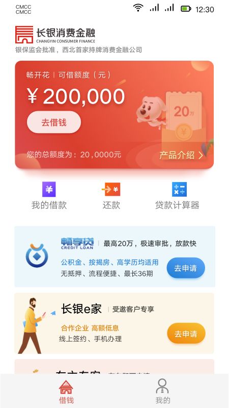 长银消费金融