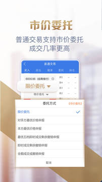 掌中投