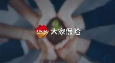 大家保险