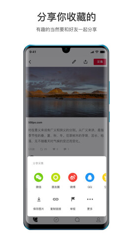 花瓣app官网版