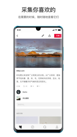 花瓣app官网版