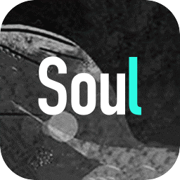 soul(下载）