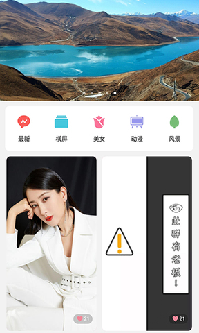 P站app