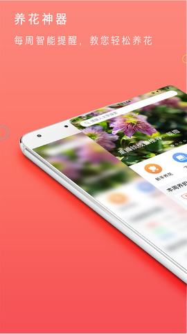 花信一对一聊天app