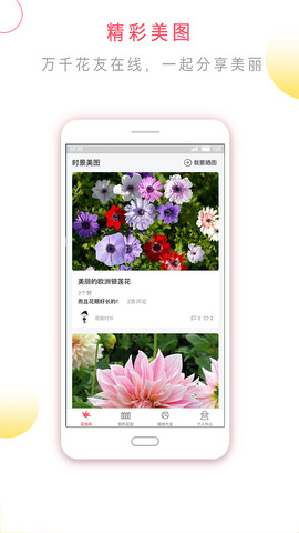 花信一对一聊天app
