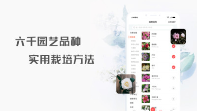 花信视频聊天app