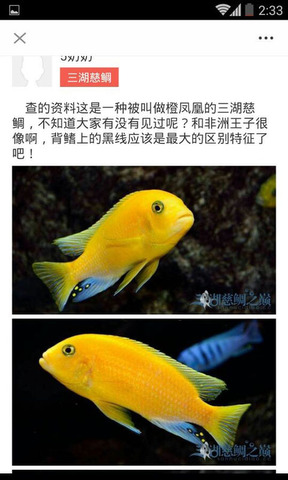 南美水族论坛app