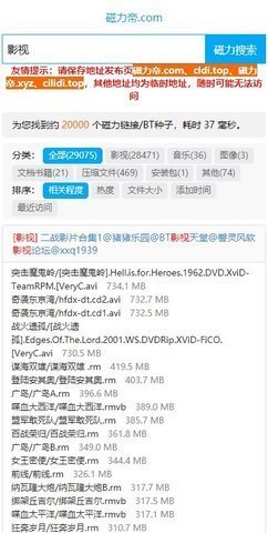 磁力王