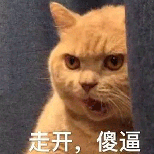 抖音我妈不让我跟傻子玩表情包