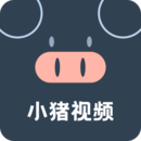 小猪视频免费视频