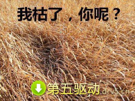 年又老了一岁表情包