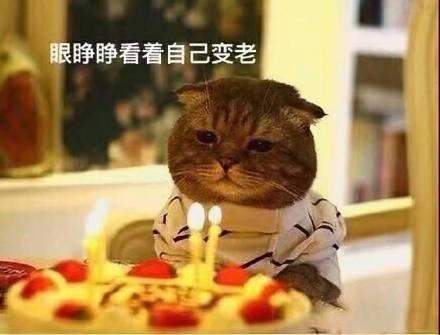 2020年又老了一岁表情包 