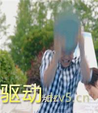 成果诸葛大力表情包