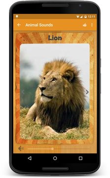 动物的声音 Animal Sounds