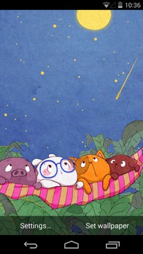 扑克兔之夏日星空