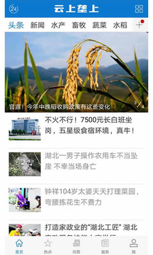 云上垄上