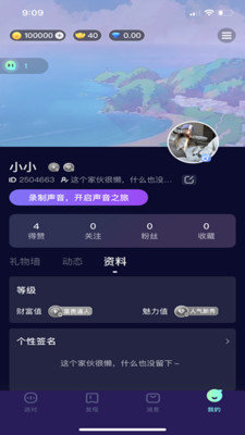 顽皮