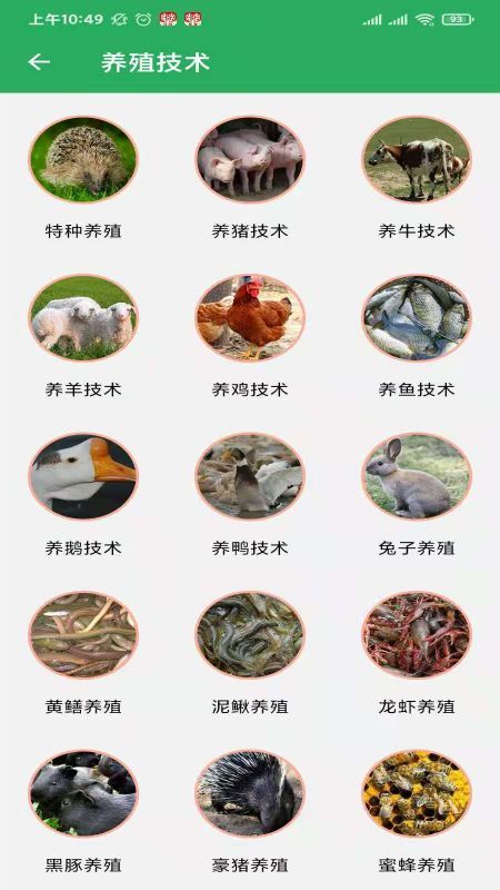 俺们村