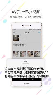 看永城