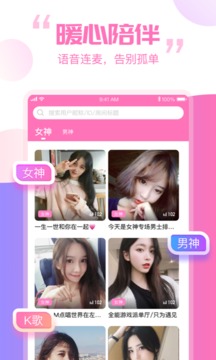笨笨app