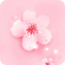 桃花直播间