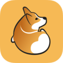 Corgi官网版