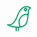 飞鸽app