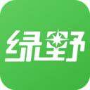 绿野