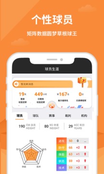 动宝足球