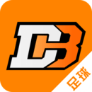 动宝足球