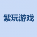 紫玩游戏