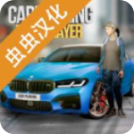 多人停车联机版