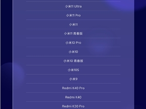 小米字幕组上线!MIX 4率先适配:视频实时弹出字幕、翻译
