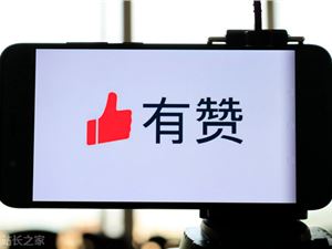 视频号矛盾中极速狂奔:每月商家增10倍,订单增4倍!