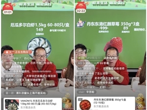 东方甄选接入有赞视频号 俞敏洪用“科普”的方式带货农产品