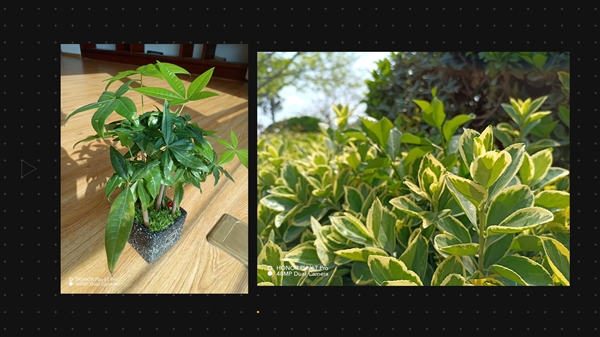 实现千元机内存自由！荣耀Play6T系列视频体验：是时候对6GB说不了