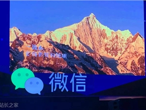视频号必须赚钱