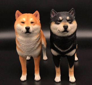 什么是shib？一文带你了解柴犬币