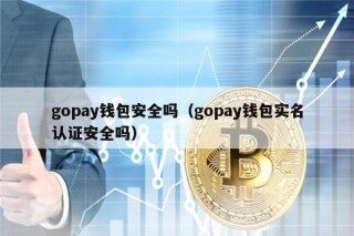 gopay钱包安全吗（gopay钱包实名认证安全吗）