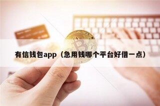 有信钱包app（急用钱哪个平台好借一点）