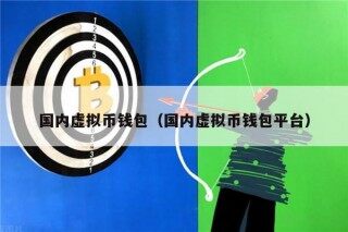 国内虚拟币钱包（国内虚拟币钱包平台）