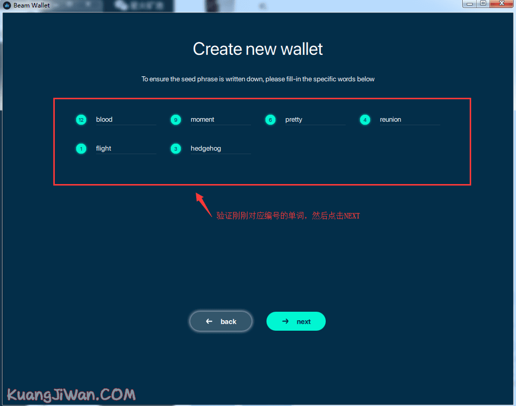 BEAM Wallet怎么使用？BEAM钱包使用图文教程-第5张图片-欧意下载