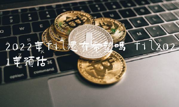 2022年fil还有希望吗-第1张图片-欧意下载