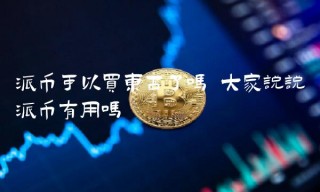 派币可以买东西了吗