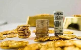 Bitbns交易平台下载_Bitbns交易平台